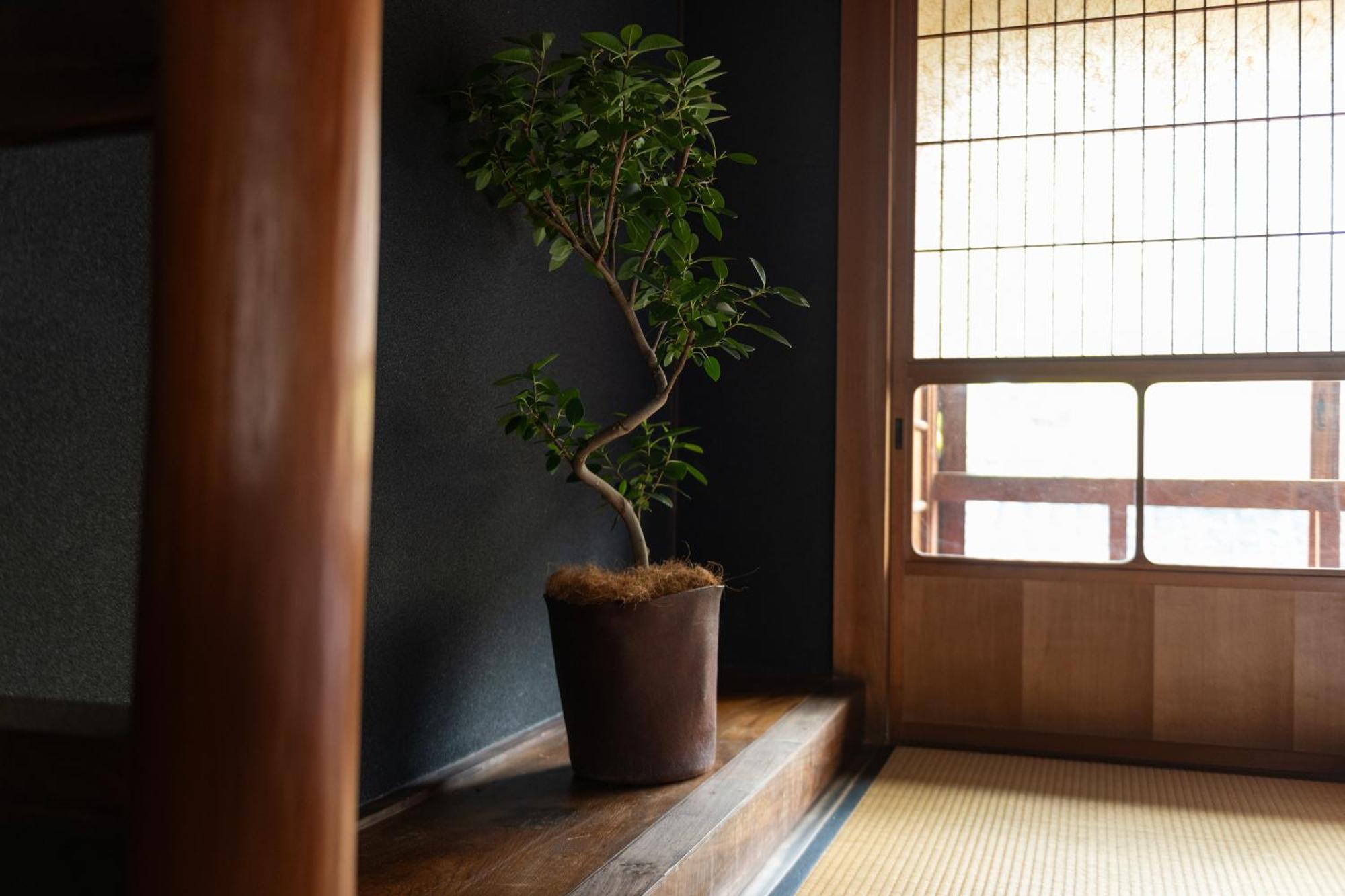 篠山城下町ゲストハウス Quolo Tamba-Sasayama Buitenkant foto